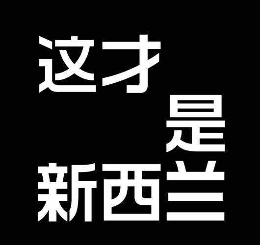 东北收藏网