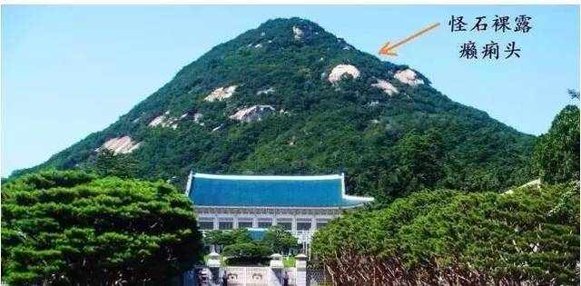 华中科技大学白云黄鹤BBS站