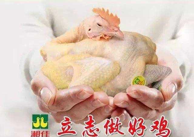 亿适家|湘佳·石门土鸡——土生土长土鸡肉，原汁原味原生态