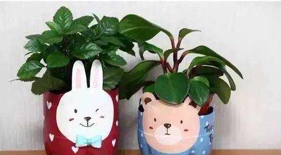 【废旧手工】喝完的矿泉水瓶废物利用，手工，环创全都有，绝对惊艳！！！