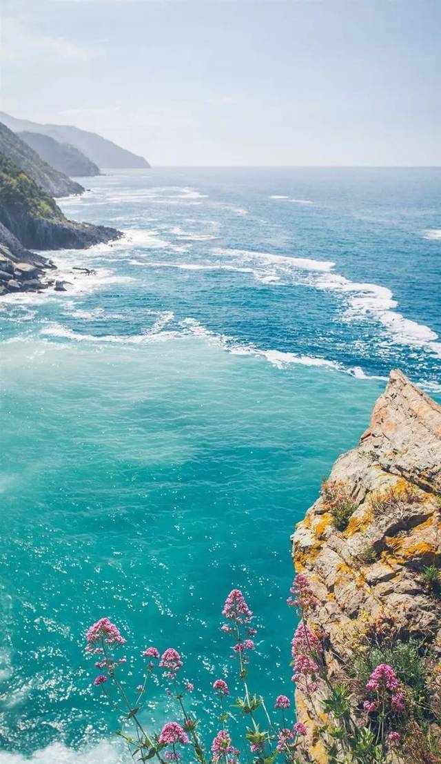天下归德