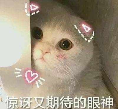 在文天，一分钟能干什么