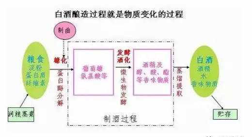 不知道酒曲是什么，怎么敢说你懂酒