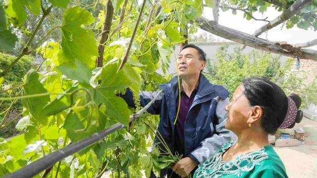 结亲故事 | 阿孜古丽说，他是我忙里忙外的“李大哥”