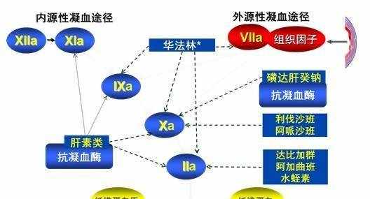 无忧源码库