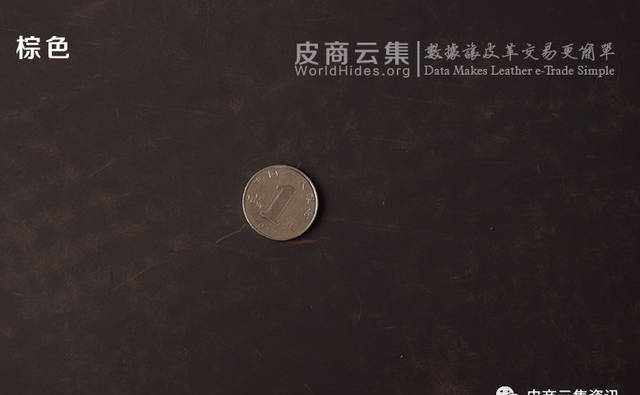 详解:什么是疯马皮？