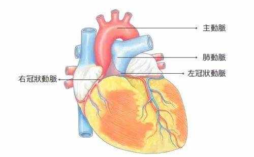 引起冠心病的8个最主要的原因，你需要了解一下