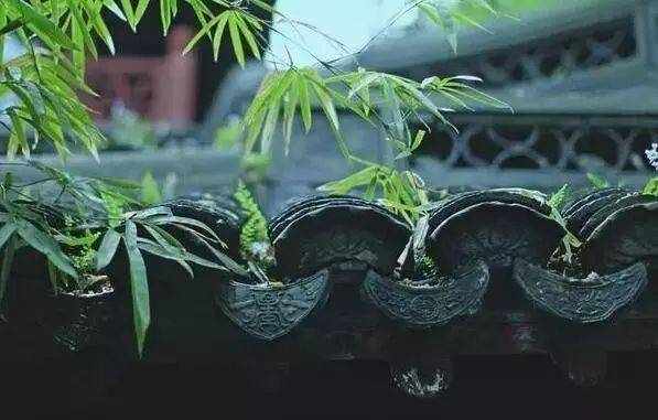 最打动人心的现代诗，唯美之极。