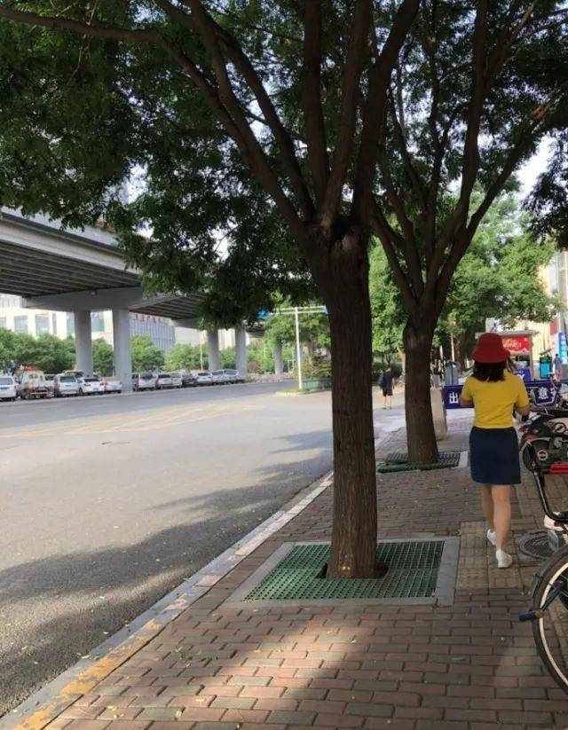 晴 晴 晴..........