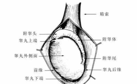 西天取“精”是场修行