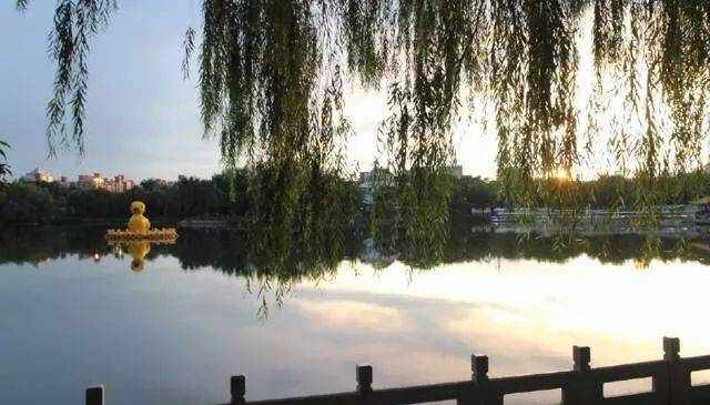 北京陶然亭公园
