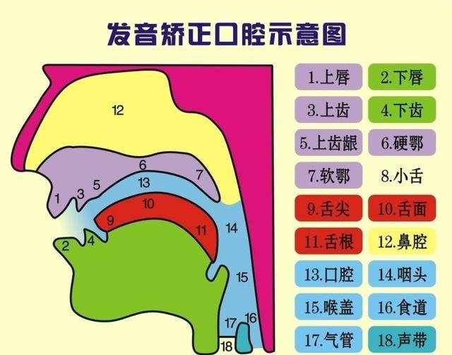 说话容易咬字不清、方言导致的平翘舌音不分该怎么解决？