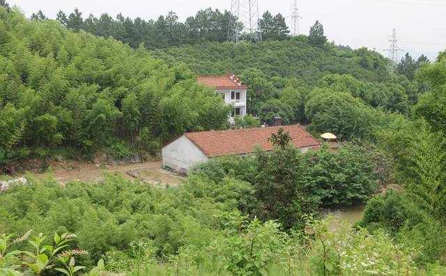 诸暨有个地方竟然叫“猪头山”？有美景、有农庄、还有一大波美食……