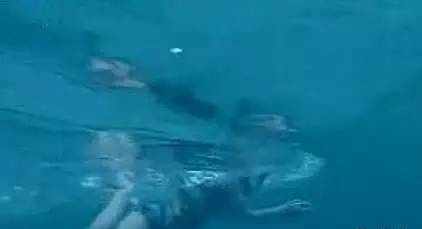 新闻哥