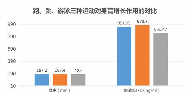 芝麻旅行网