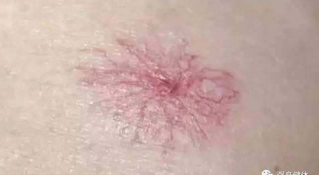 情缘小说下载网