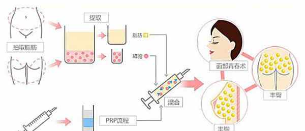 新顶点小说网