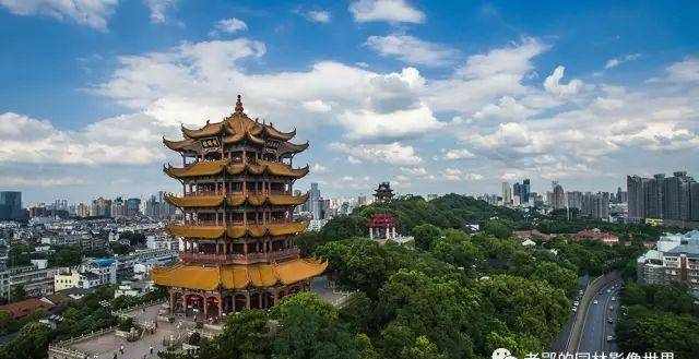 苏菲的书