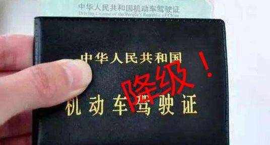 驰购文学网