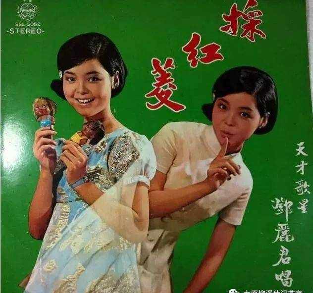 【音乐赏析】经典民歌《采红菱》