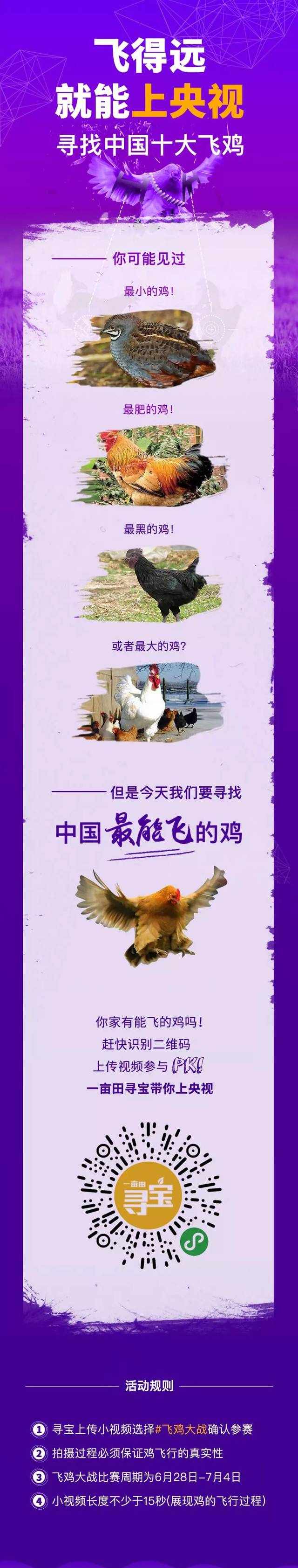 如何赚钱致富？