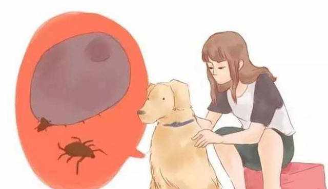 惹不起，我还躲不起？怎么预防蜱虫