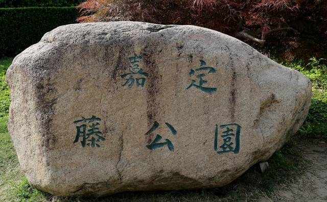 中国唯一的紫藤公园——嘉定紫藤园