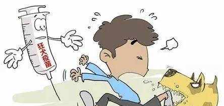 打狂犬疫苗后注意事项！！！