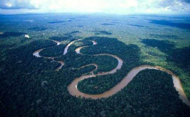 15张图，告诉你亚马逊雨林有多疯狂