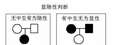 【完虐学霸】遗传系谱图，再也难不住你！
