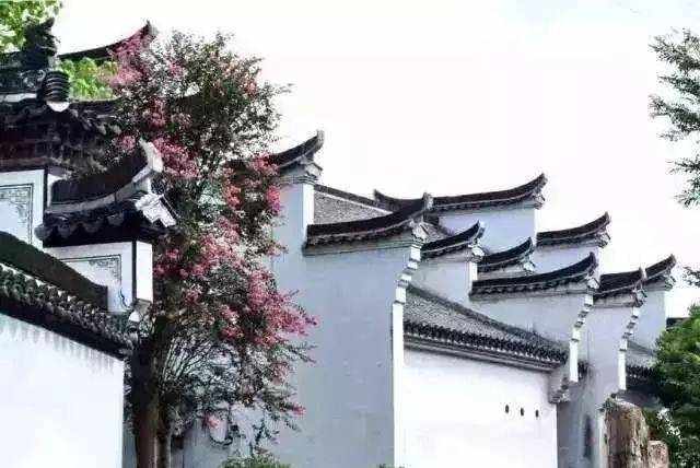 墙里秋千墙外道