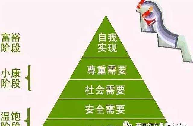 2018高考上海卷高考满分作文选登