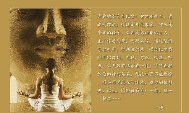 （看完这个就全了解）什么是瑜伽？瑜伽的定义和内涵