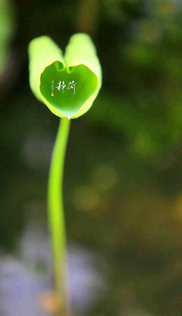 “最近还好吗？”
