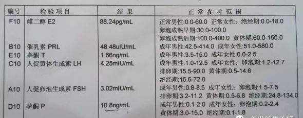 中国礼品采购网