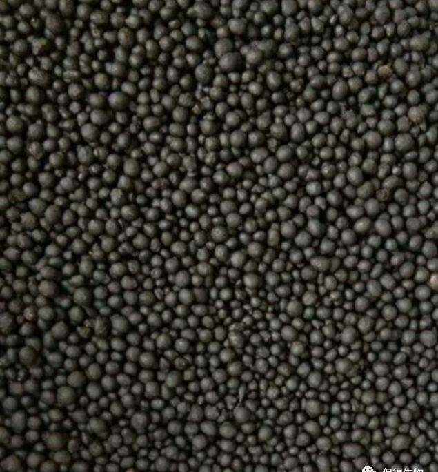 果园土壤改良最有效的5个方法！