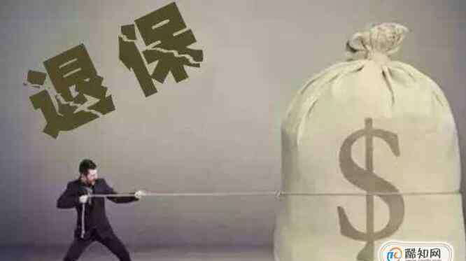 退保险 退商业保险要什么手续，商业保险什么情况下不能退保