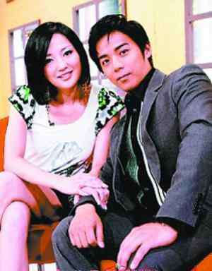 傅天颖离婚 傅天颖与老公陈子强结婚照 傅天颖与老公陈子强离婚了吗