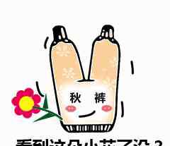 骆岗机场 定了！骆岗机场将变身合肥城市中央公园！规划图曝光！面积达7平方公里！