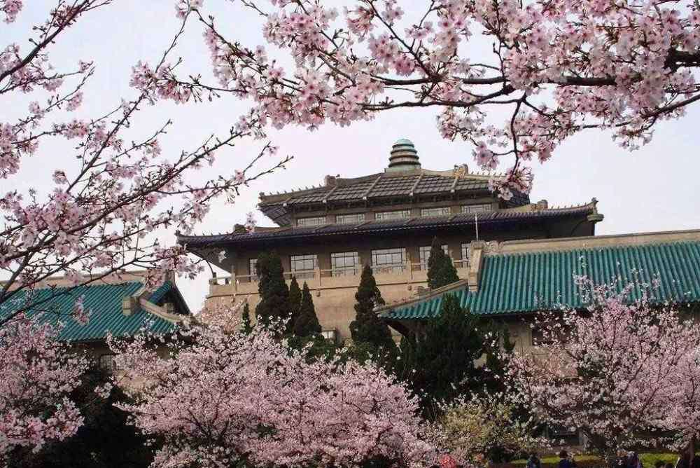 国名校花 这所高校曾排全国第三，却因“校花”惹争议，校名倒过来念很给力