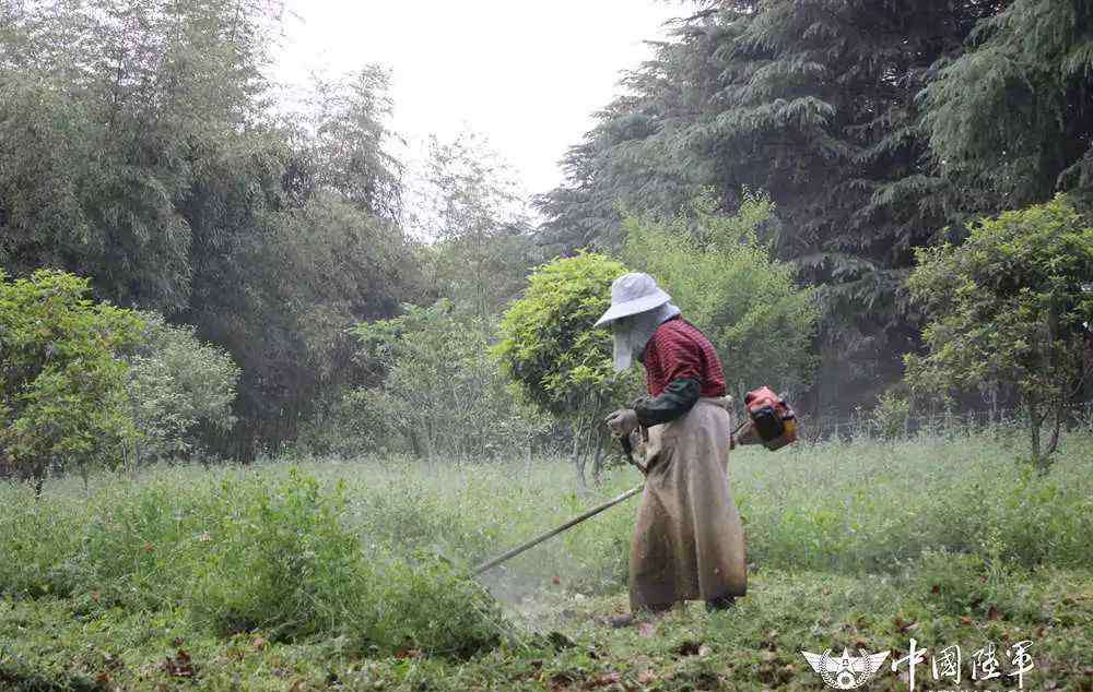 夏雨阁言情小说网