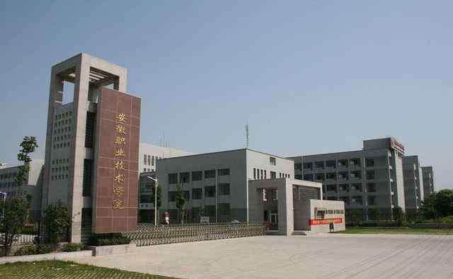 合肥大专学校 安徽最好的3所专科院校，2所位于合肥，都是国家示范高职院校