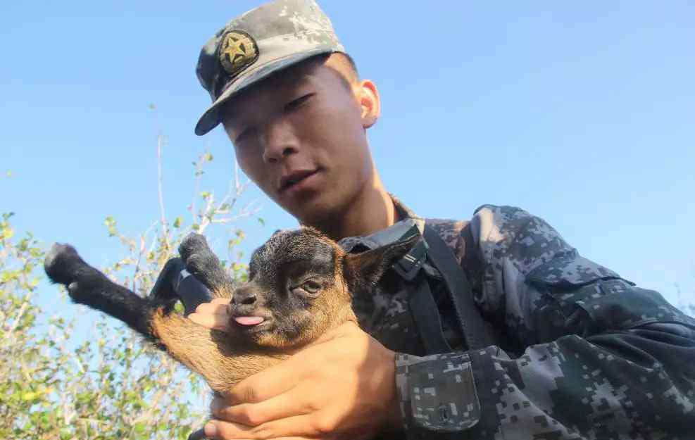徐伟文 天涯哨兵有话说