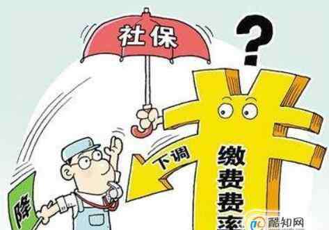 社保基数怎么算 社保缴费怎么计算，社保缴费怎么查询