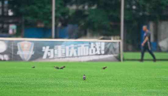 吴庆市在哪个省 黄希扬：重回家乡吴庆是榜样 想守护重庆这个地方
