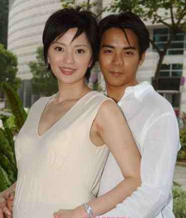 傅天颖离婚 傅天颖与老公陈子强结婚照 傅天颖与老公陈子强离婚了吗