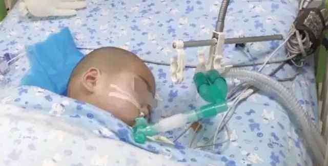 幼儿园投毒 幼儿园投毒案下毒教师：在牢中每日祈祷，知道有小孩死亡彻底崩溃
