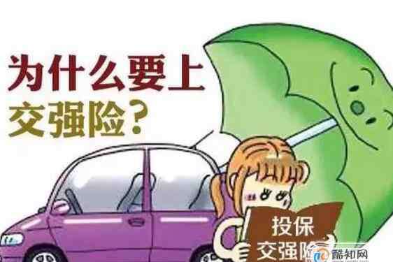 交强险多少钱一年 交强险没交会怎么样，交强险交多少钱