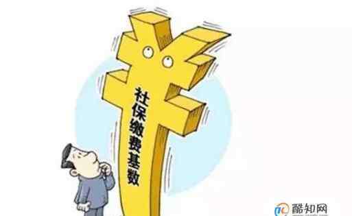 社保基数怎么算 社保缴费怎么计算，社保缴费怎么查询