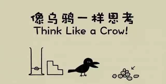 像乌鸦一样思考 纪录片《像乌鸦一样思考》：排名前1%的孩子，往往靠的思维方式
